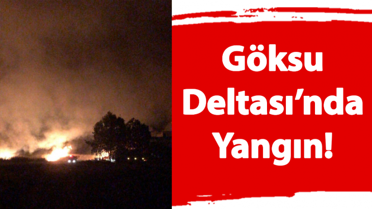 Göksu Deltası'nda Yangın!